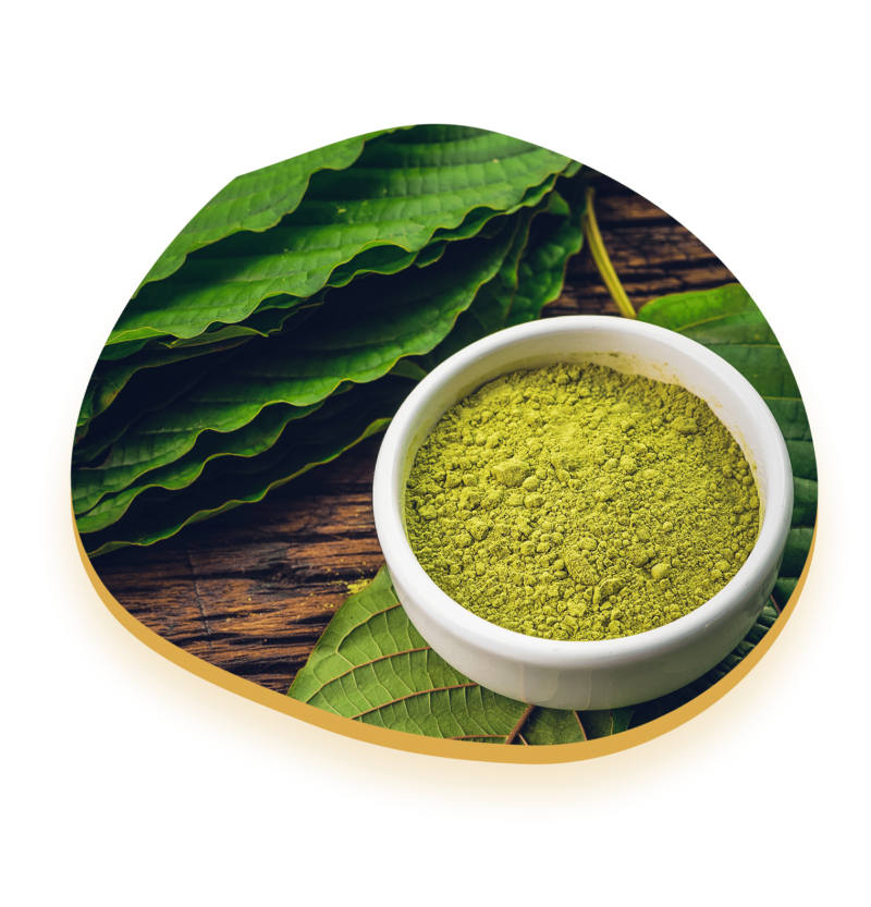 Indonesia Kratom Supplier - NATUNA KRATOM